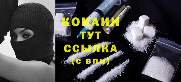 шишки Баксан