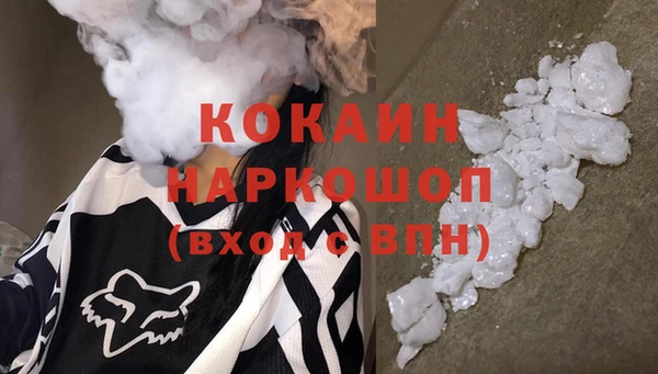 шишки Баксан