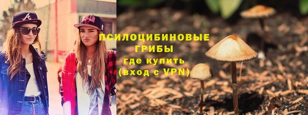 шишки Баксан