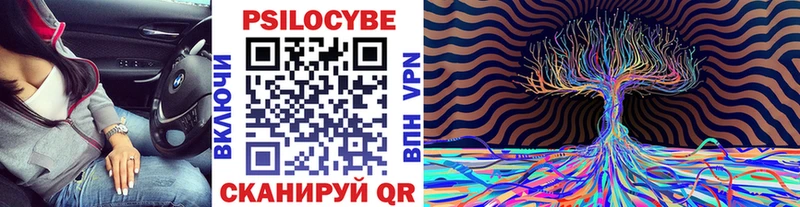 hydra вход  цены наркотик  Берёзовский  Псилоцибиновые грибы прущие грибы 